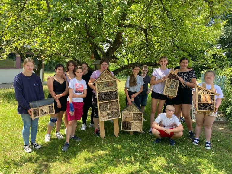 Insektenschutz Umweltschule